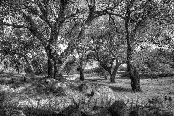 Ramona Oaks, CA