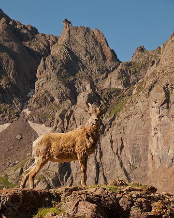 South Colony Colorado-8695