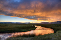 Mammoth --2