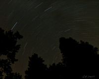 Star Trails