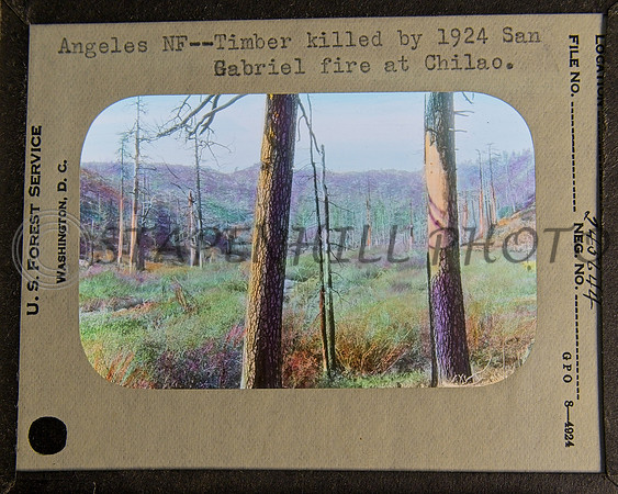 730's Lantern Slides