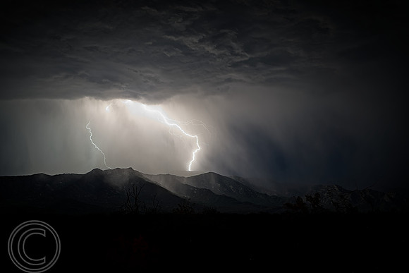 Arizona 8-2026 4