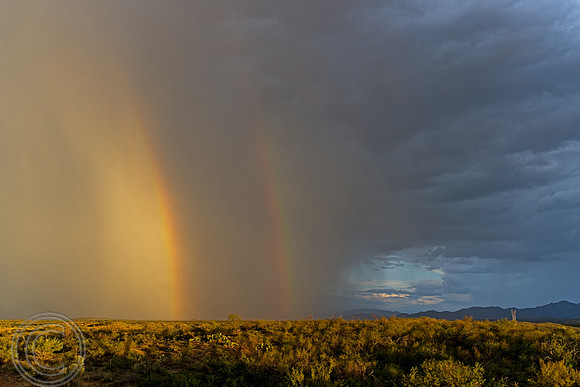 Arizona 8-2026 3