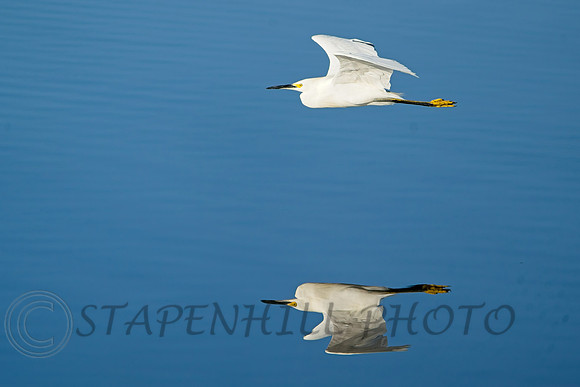Bolsa Chica 9-2026 6