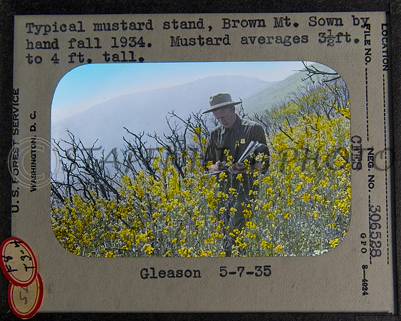 2130's Lantern Slides