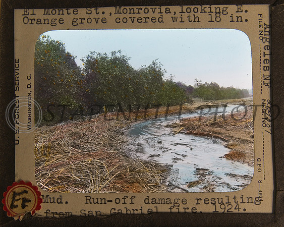 330's Lantern Slides