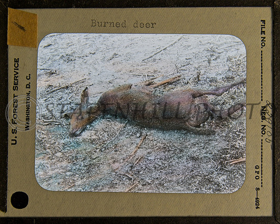 1030's Lantern Slides