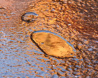 Frozen Gold