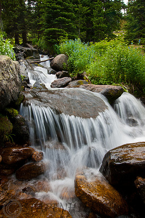 Estes-7181, CO
