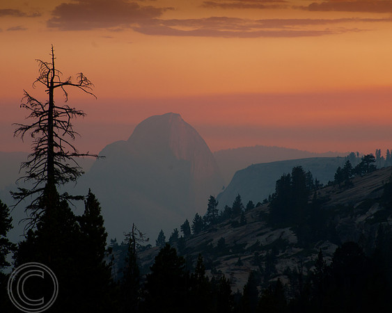 Yosemite Half Dome-3241, CA