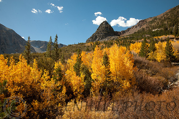 Mammoth-3123, CA