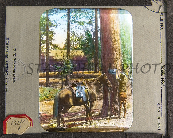 2030's Lantern Slides