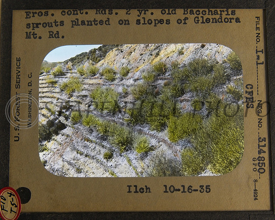 130's Lantern Slides