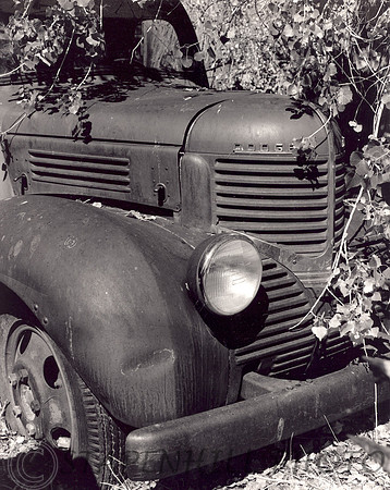 Old Truck Julian, CA