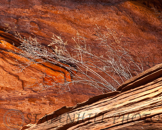 Oak Canyon 2, AZ