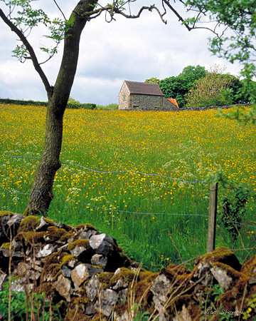 England Meadow 2 Peak district