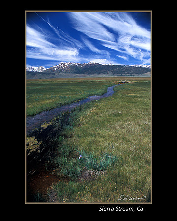 Sierra Stream