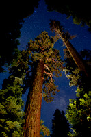 Shadow of the Giants CA -2955