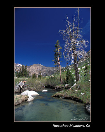 Horseshoe Meadow's