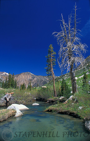 Bridge Creek Horseshoe Meadows, CA
