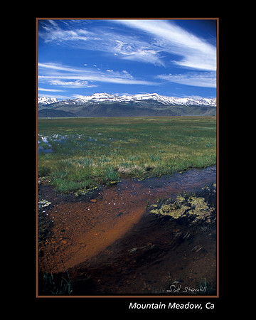 Mountain Meadow